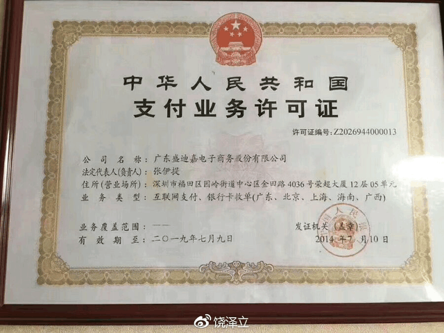 支付公司简介