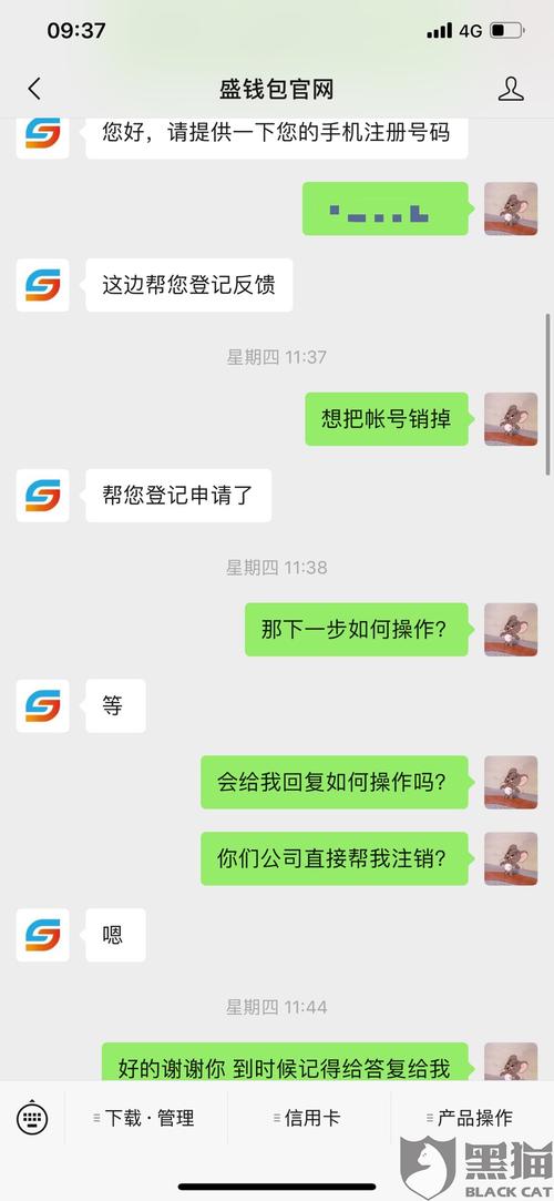 盛钱包延迟到账