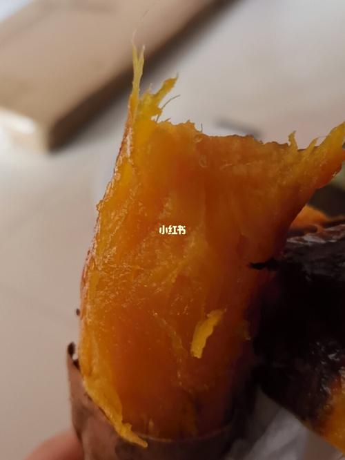 招行信用卡积分兑换的烤箱