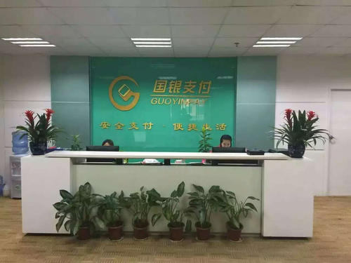 个人pos机分公司